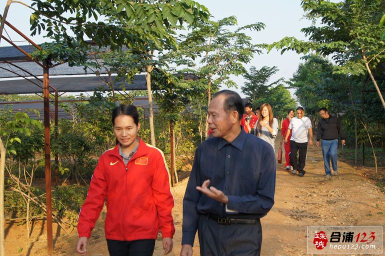 世界冠军陈业青参观合浦佳永金花茶种植示范基地图