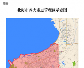 Ȯͨ淢Щ/ٲ飡