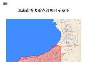 Ȯͨ淢Щ/ٲ飡