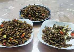 Լھݿˣж