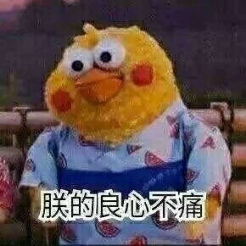 .jpg
