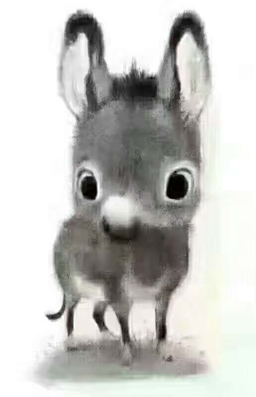 ë¿.jpg