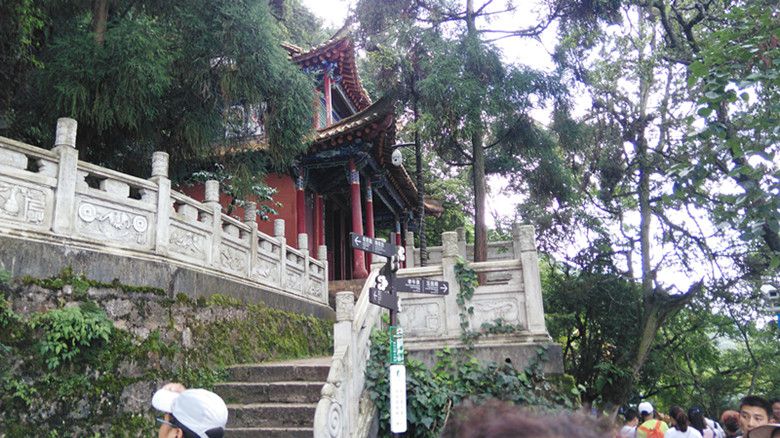 IMG_20170816_140435.jpg