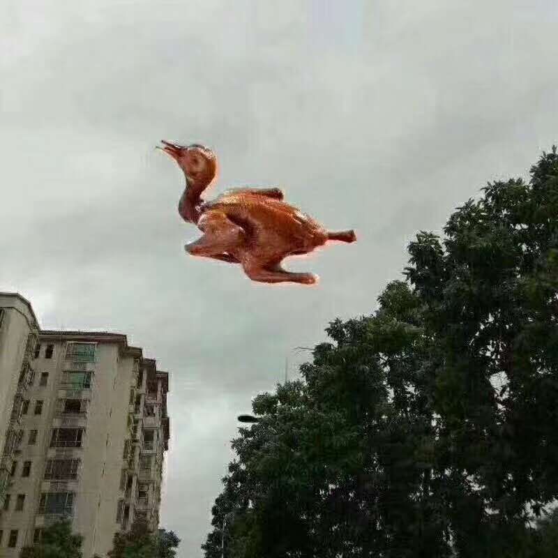 .jpg