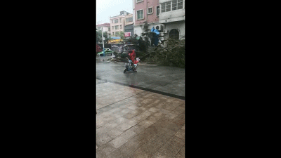 4.gif