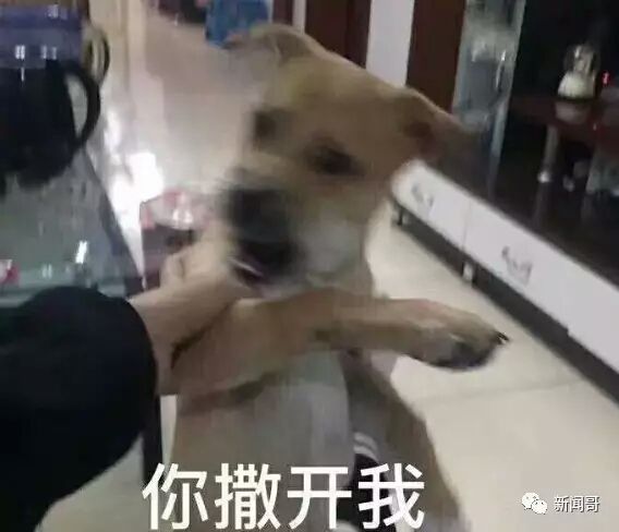 ſ.jpg