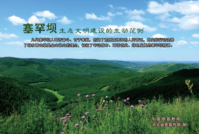 shb010.jpg