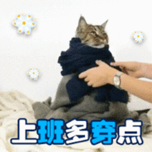 ΢ͼƬ_20221102114213.gif
