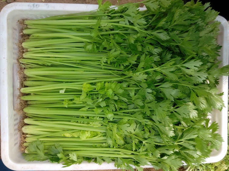 20161105151105238.jpg