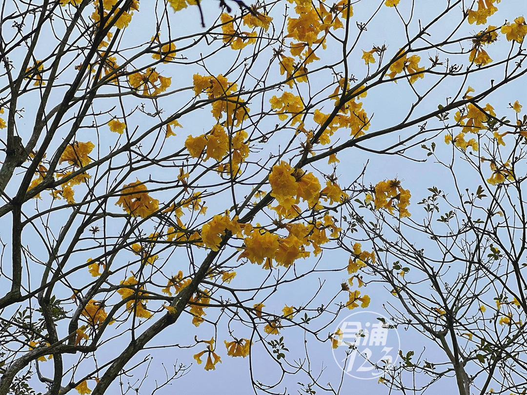 ΢ͼƬ_20230206165906.jpg