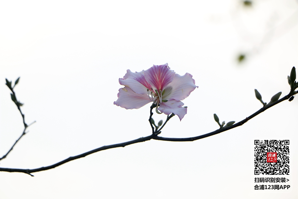 IMG_6433.JPG
