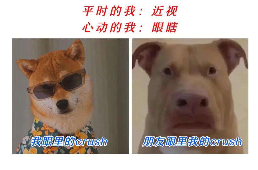 ΢ͼƬ_20230330113211.jpg