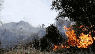 640 (2).gif