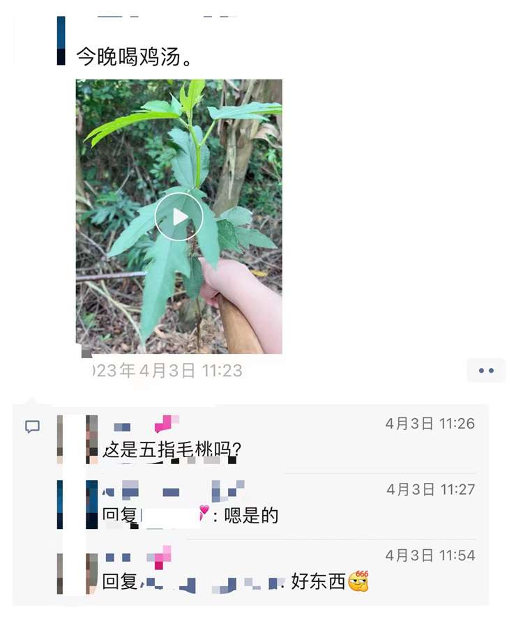 ΢ͼƬ_20230406152407.jpg