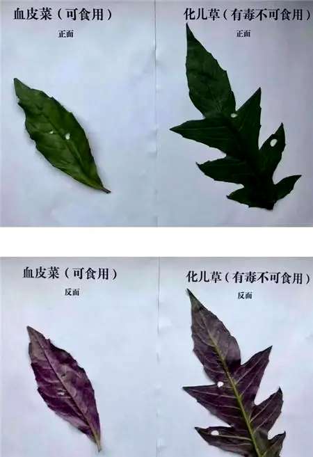 1680763650385.jpg