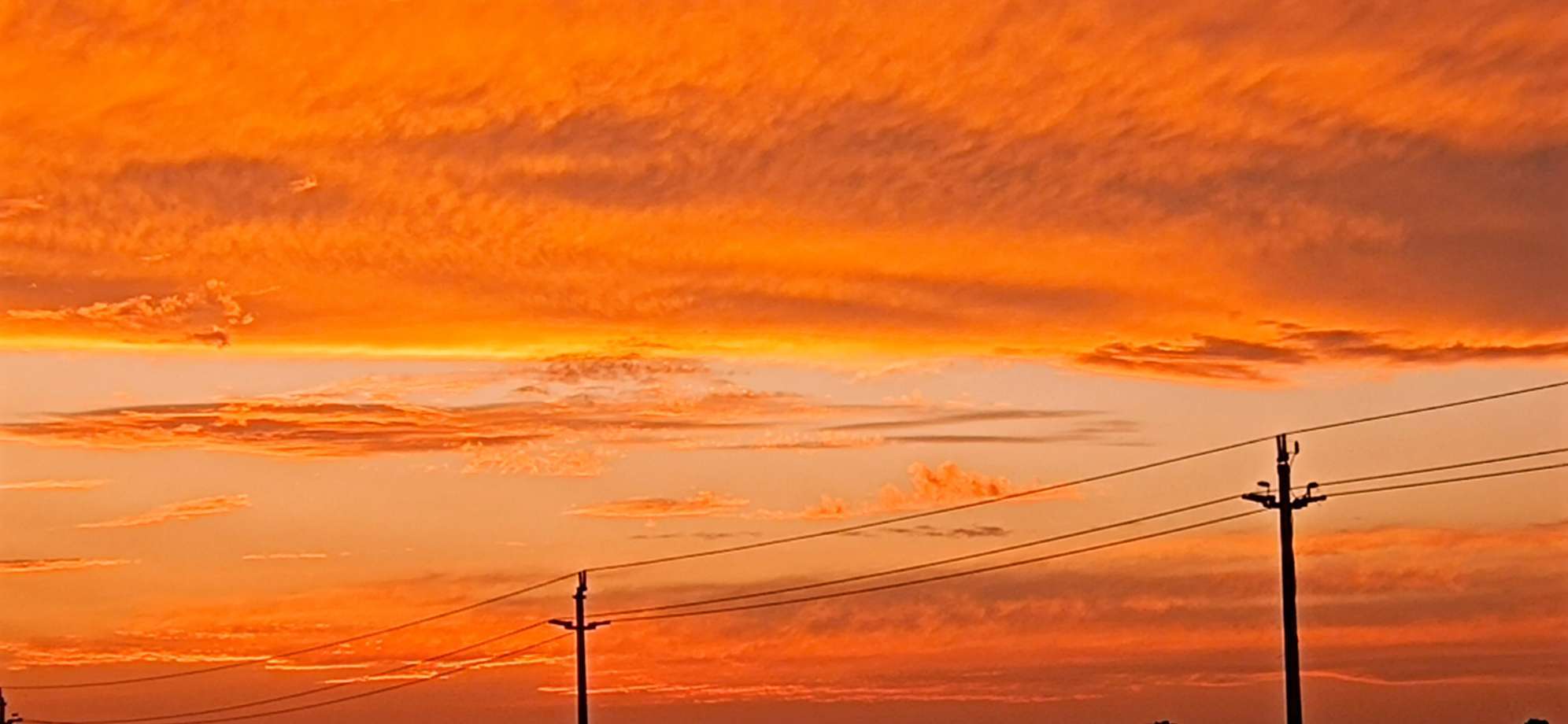 20230429192750front2_0_356638_FormqNbcMi666lAk3e4flZAi-dBq.jpg