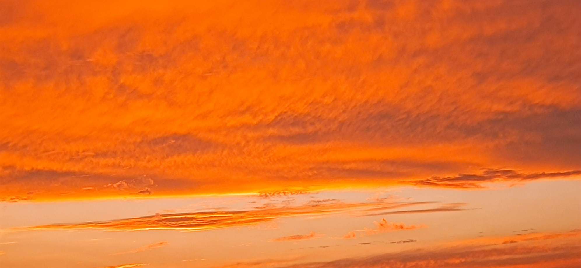 20230429192750front2_0_356638_FiiUC0KtxsDSrfRWRGR48Si3S9A-.jpg