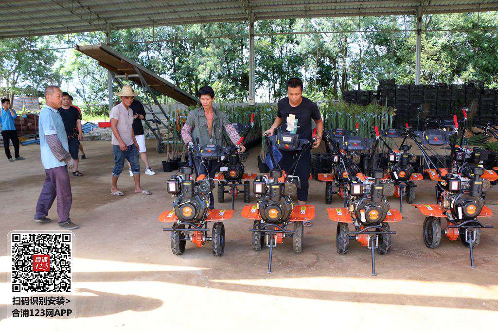 IMG_3620.JPG