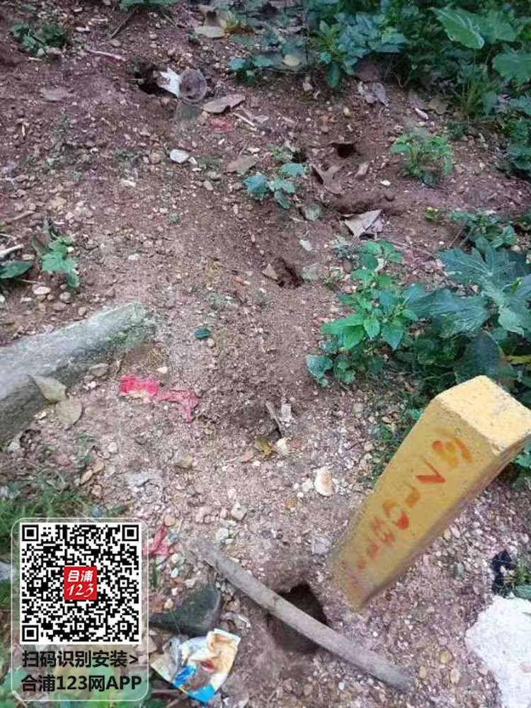 .jpg