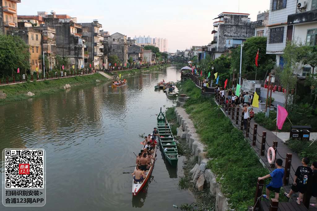 IMG_3984.JPG