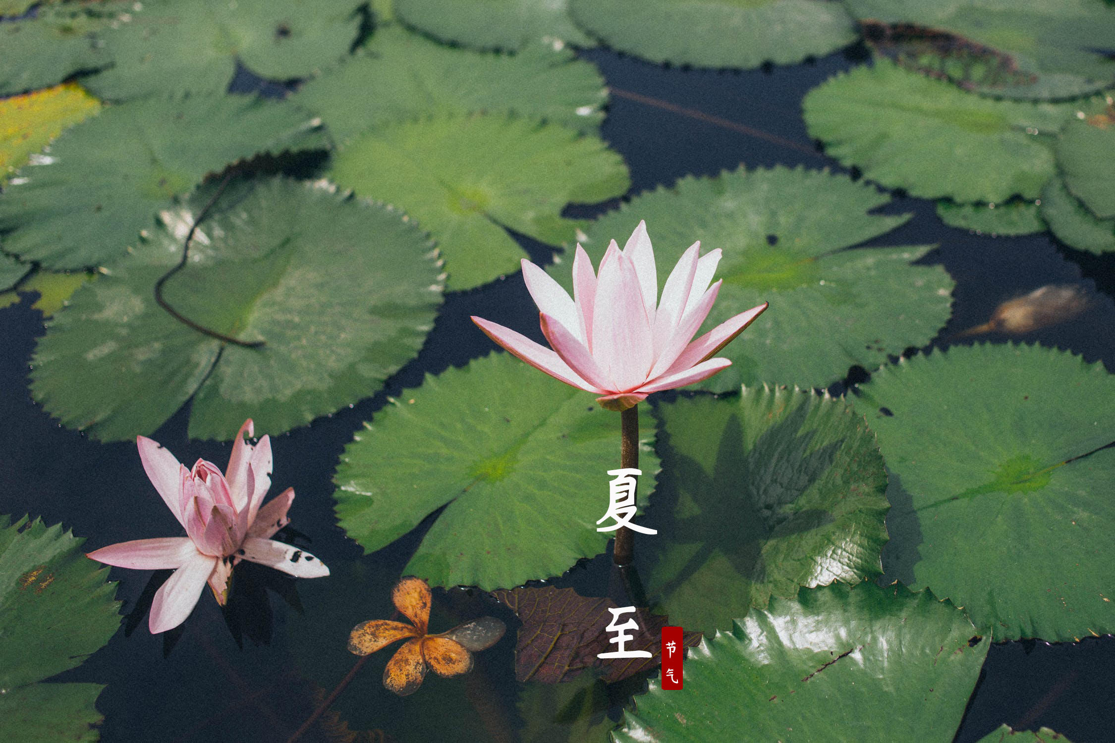 D28E39EC0F87CBD0157A7980C6149C52356FC5E5_size1235_w2250_h1500.jpg