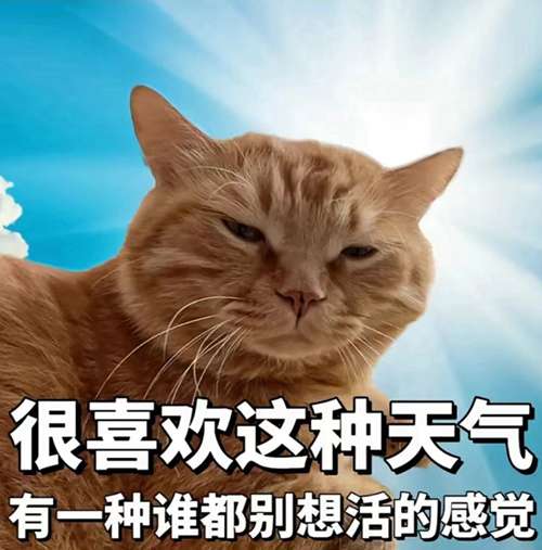 9237ec4a2371a1bdb3233bcd0f8774d.jpg