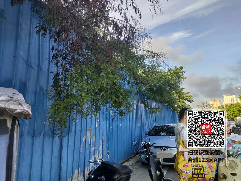 8ca5afe621c0c00e9509dfc491adb66.jpg
