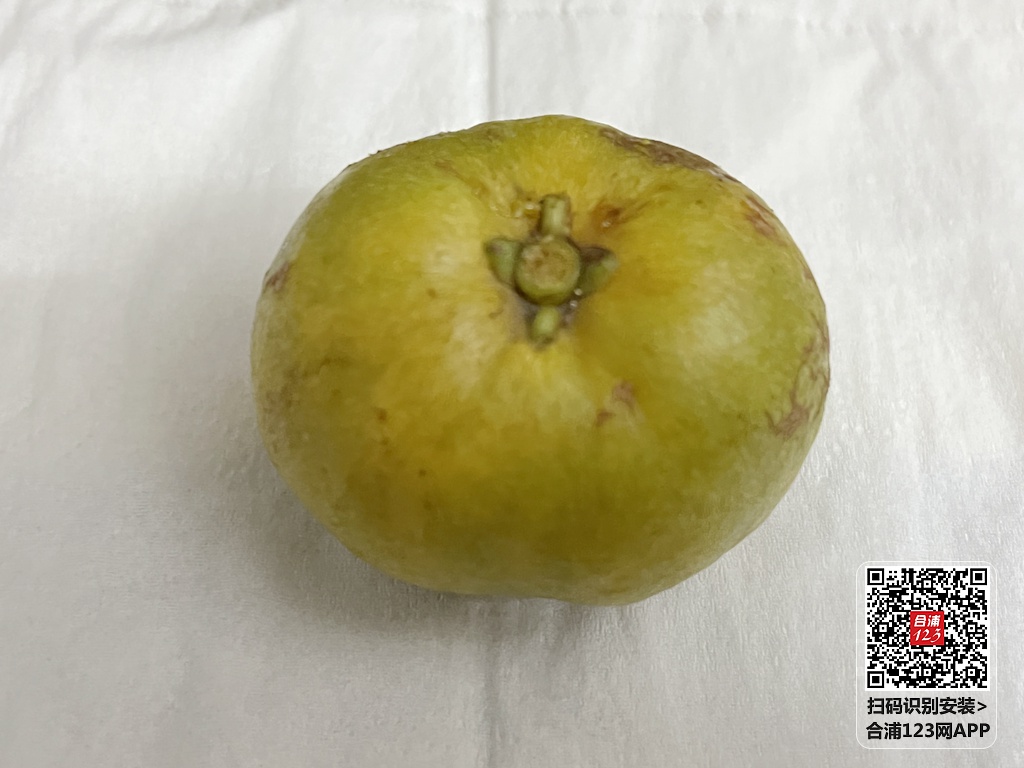 mmexport1690534745678.jpg