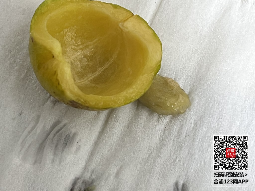 mmexport1690534750671.jpg