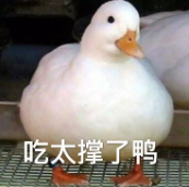 1693186769204.png