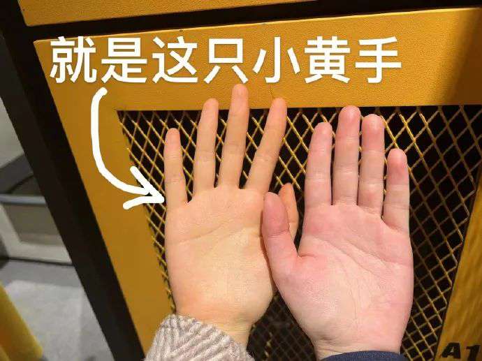 4bc5d0ed749958684ed1f5825ed6a96b.jpeg