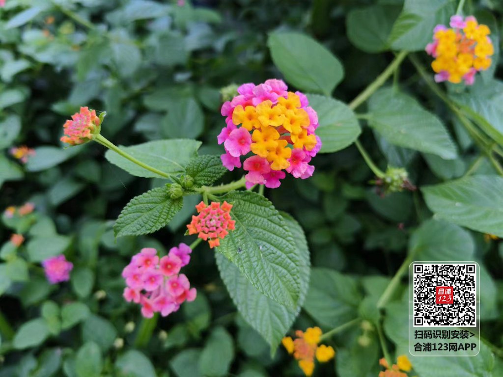 65b20f8ebbe5e1b73bb7102ac1e438f.jpg