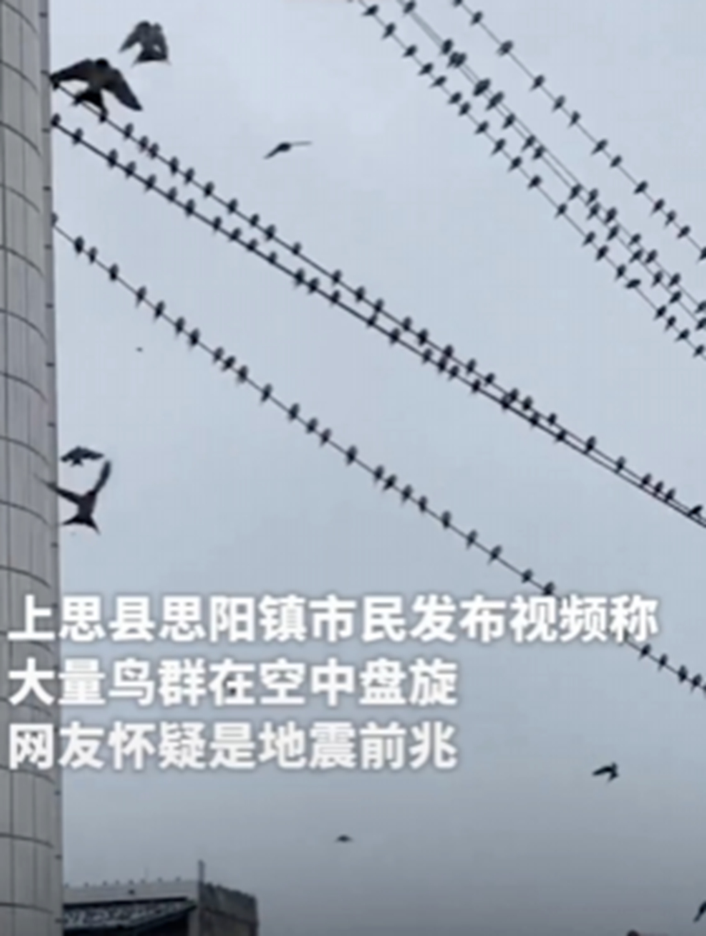 7fe2d9dd3c57f84bb612179c5a5dff14_.jpg