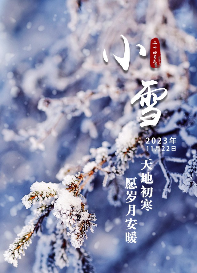 8e601023-22da-4bdd-a7ae-92e875f8a9d3.jpg