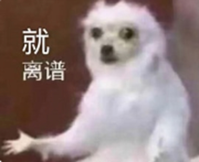 .jpg