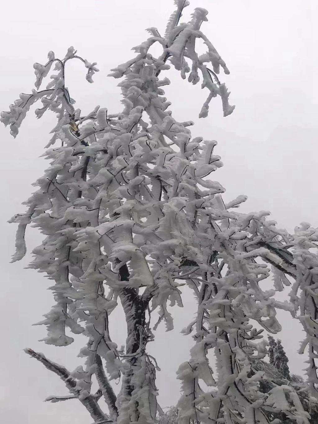 ΢ͼƬ_20231219171315.jpg