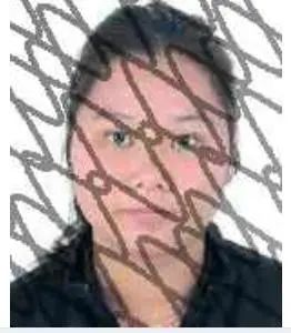 ΢ͼƬ_20240524153251.jpg