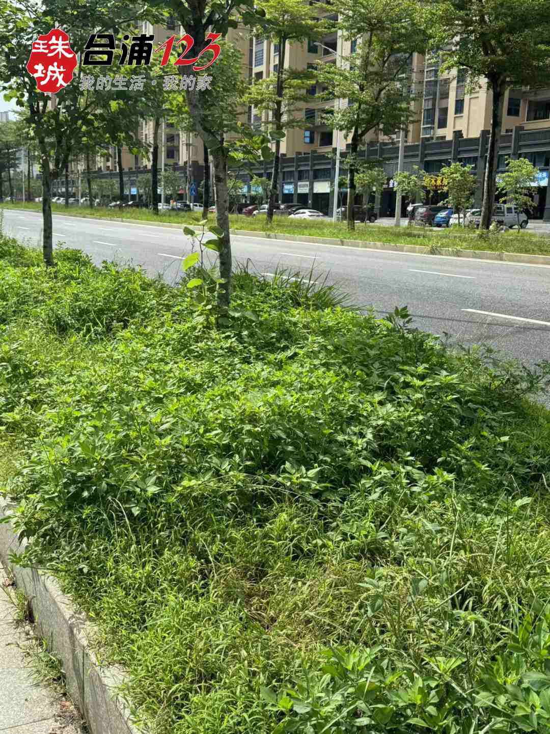 WechatIMG6968_.jpg