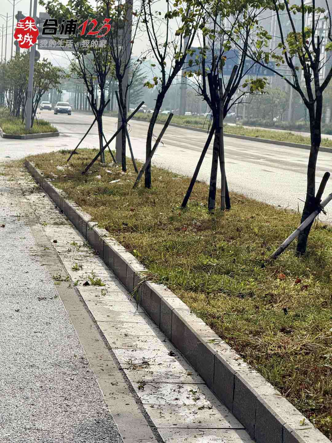 WechatIMG8139_.jpg