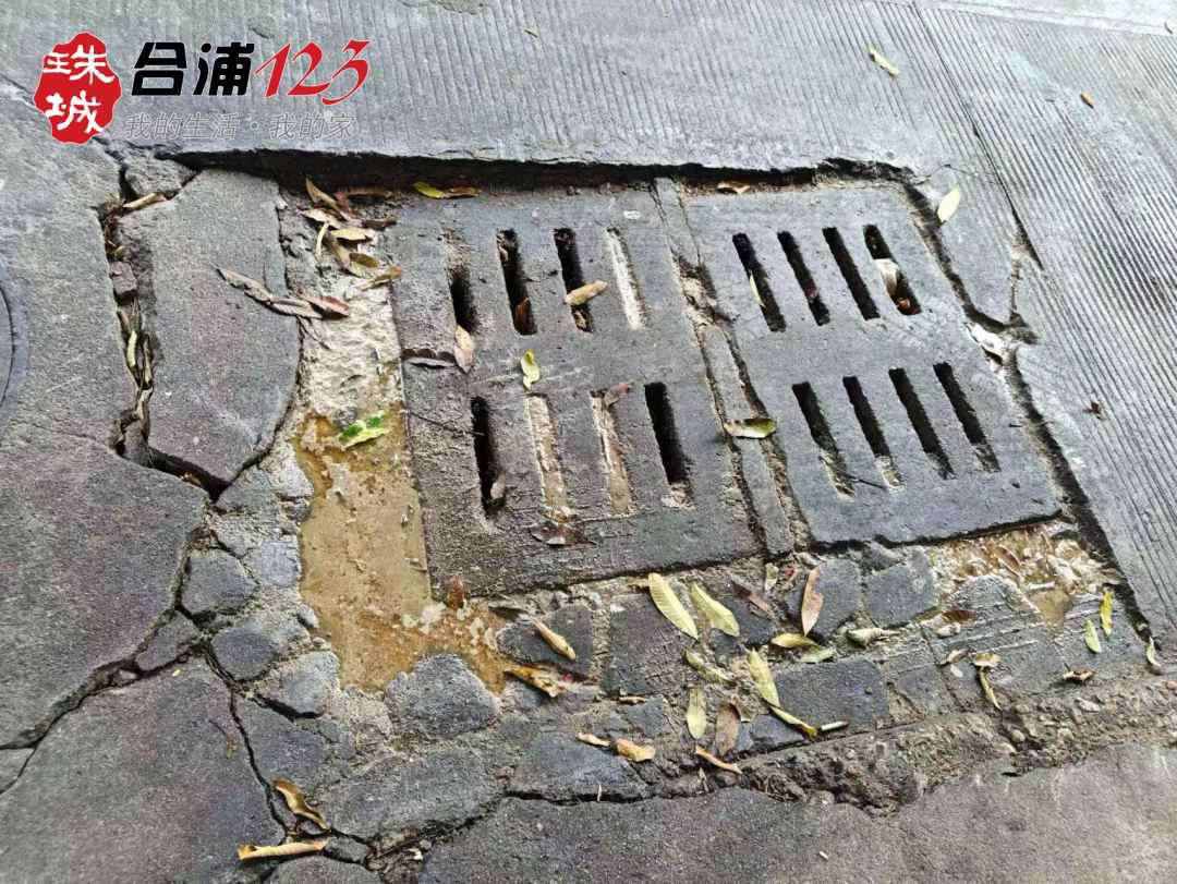 3333.jpg