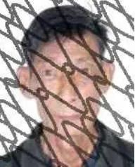 77.jpeg