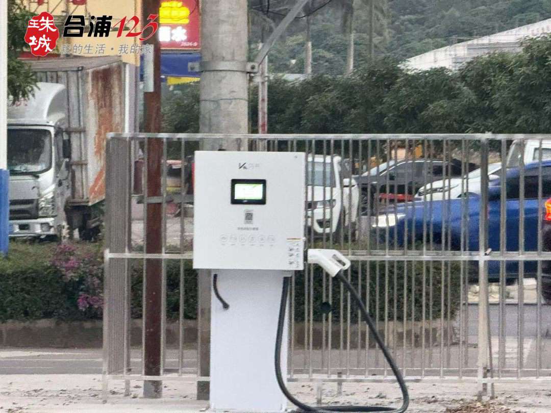 99.jpg