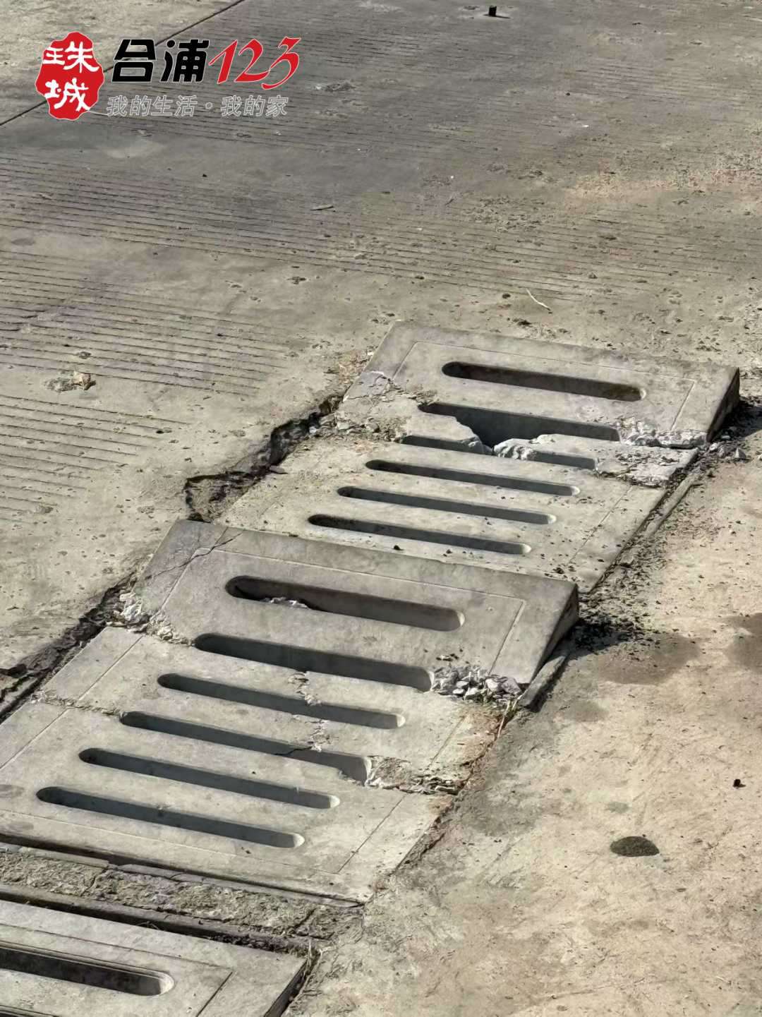 333.jpg