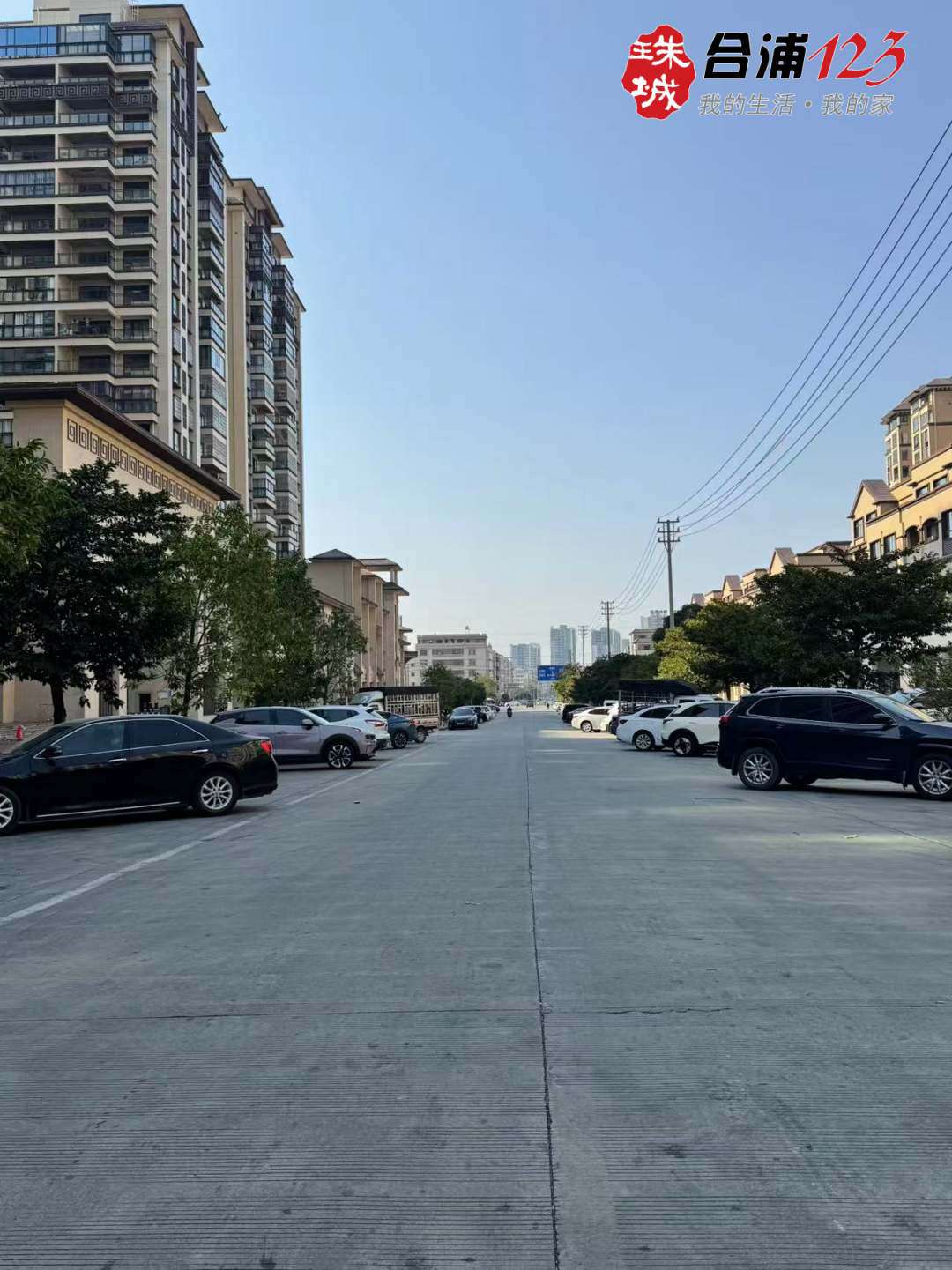 222.jpg