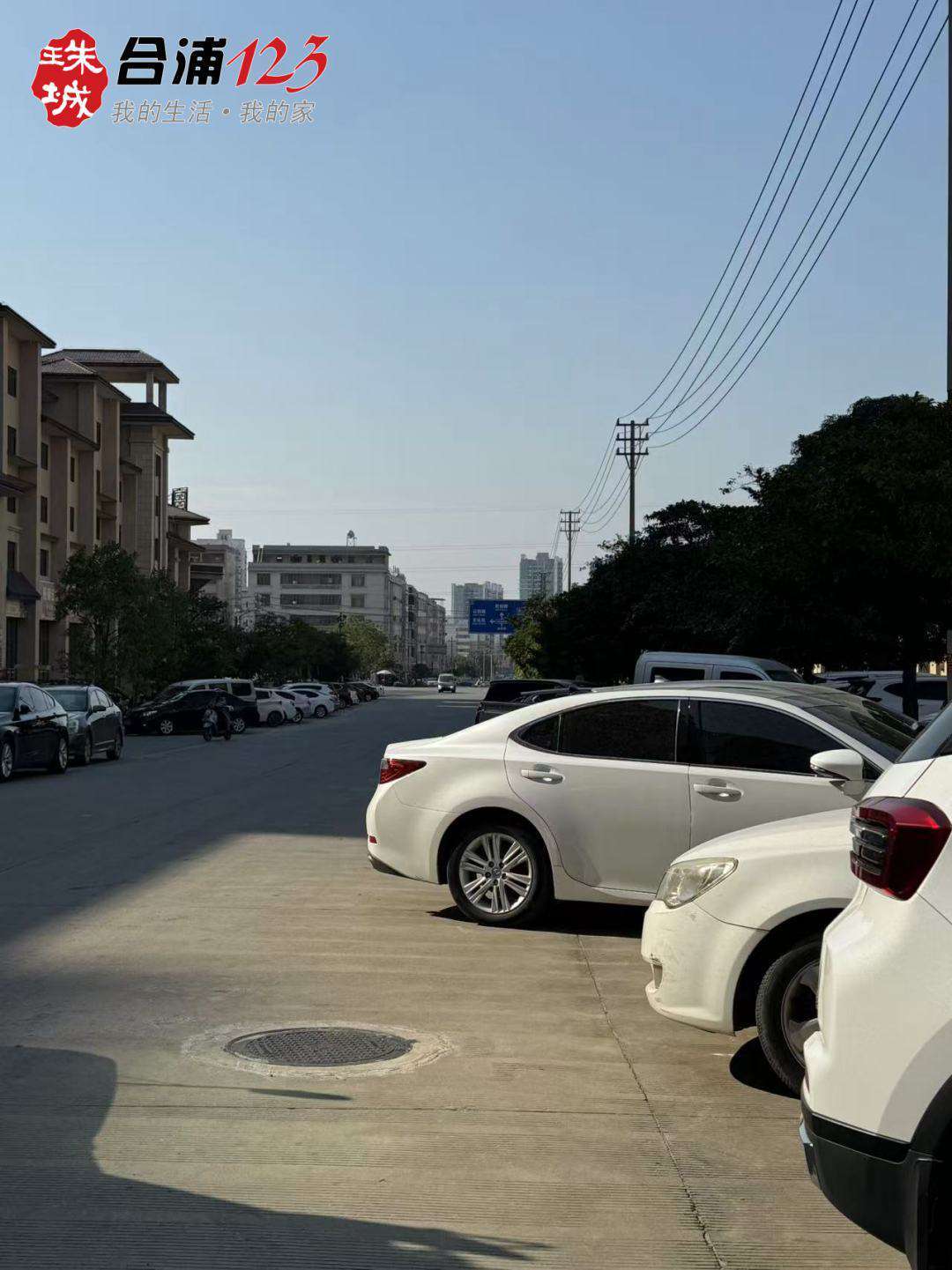 555.jpg