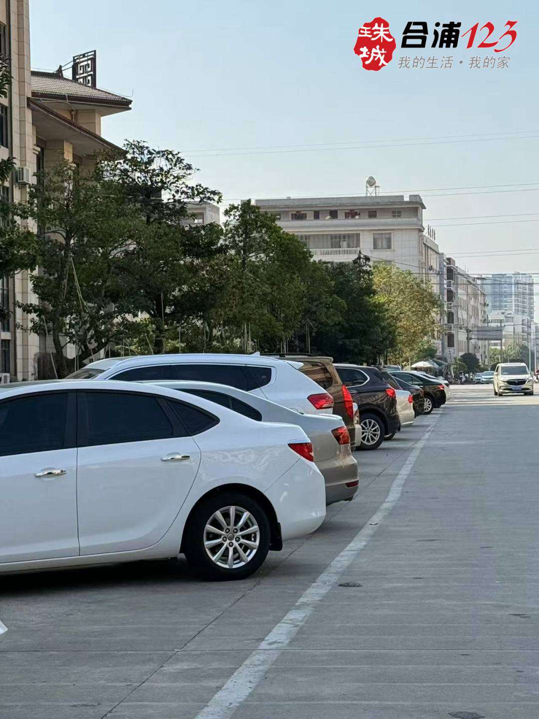 8888.jpg