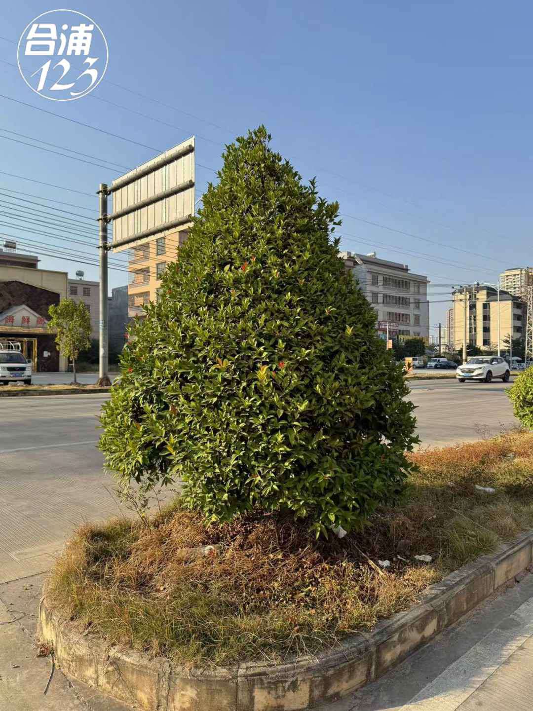 111.jpg