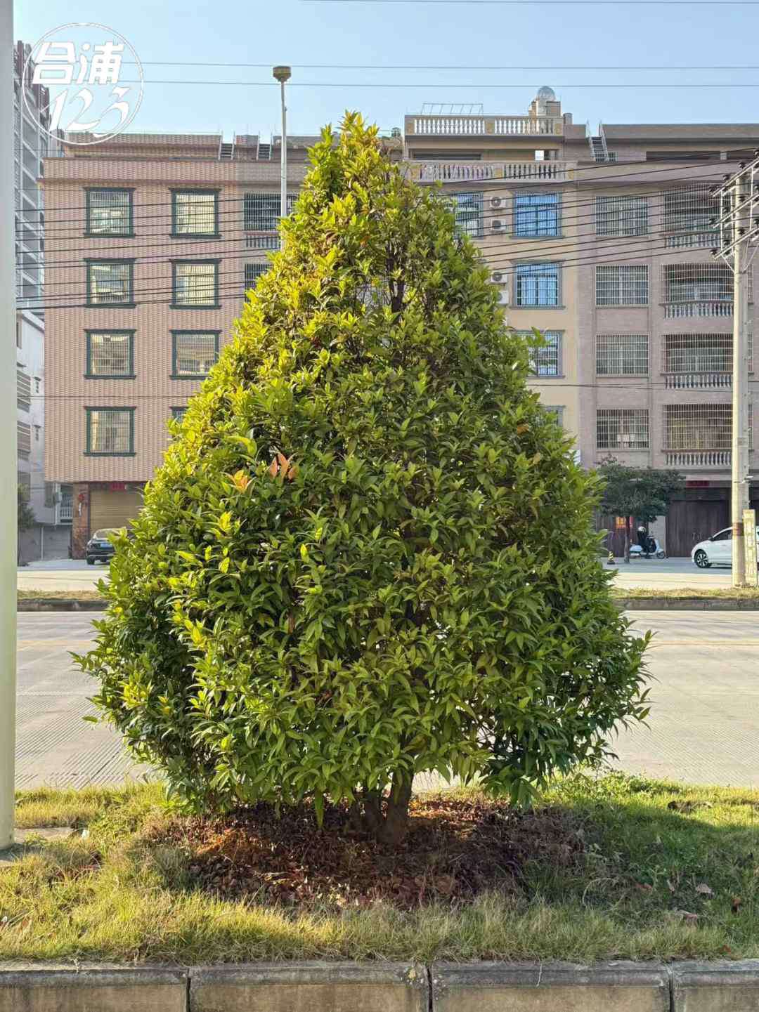 222.jpg