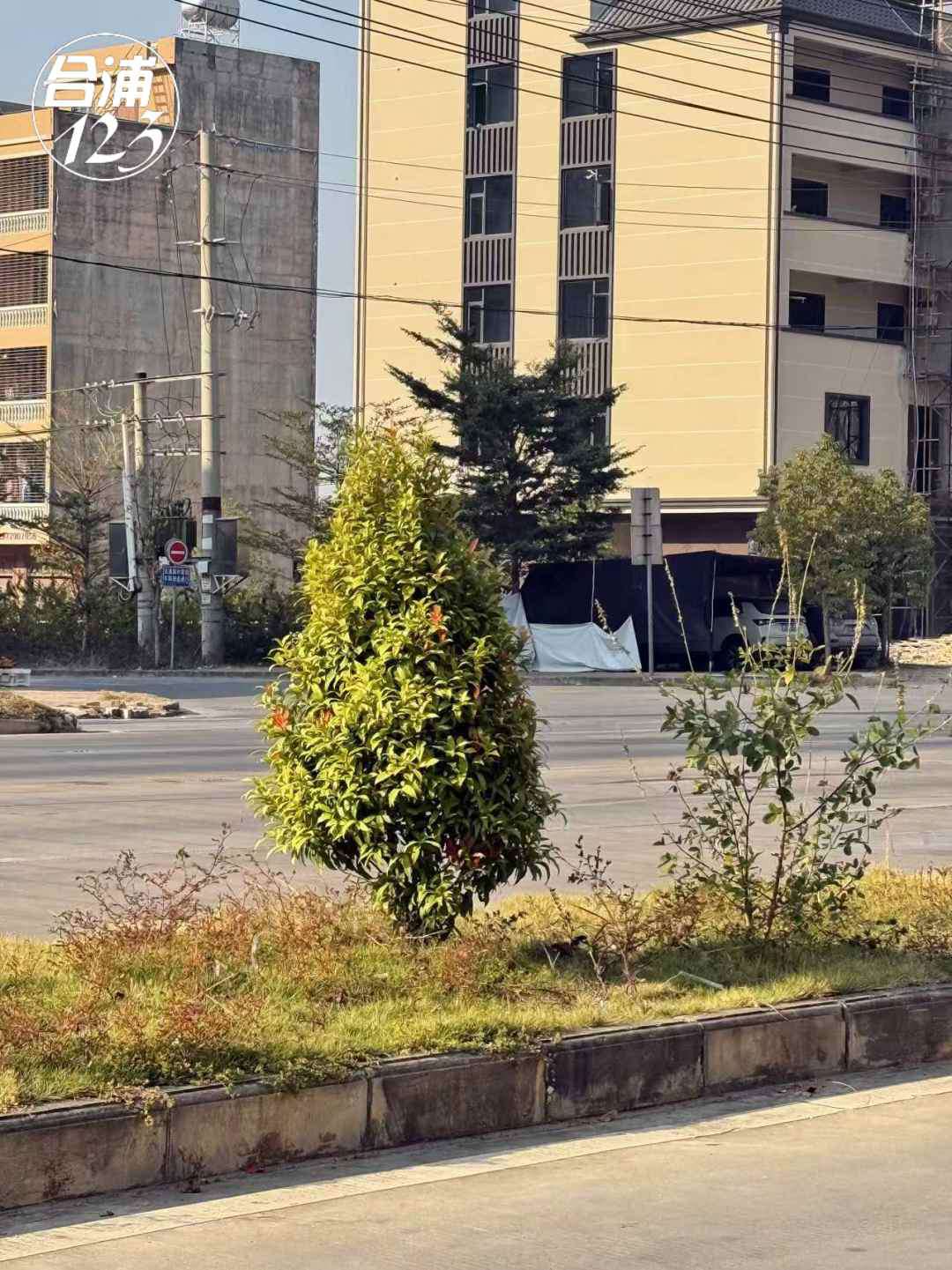 55.jpg