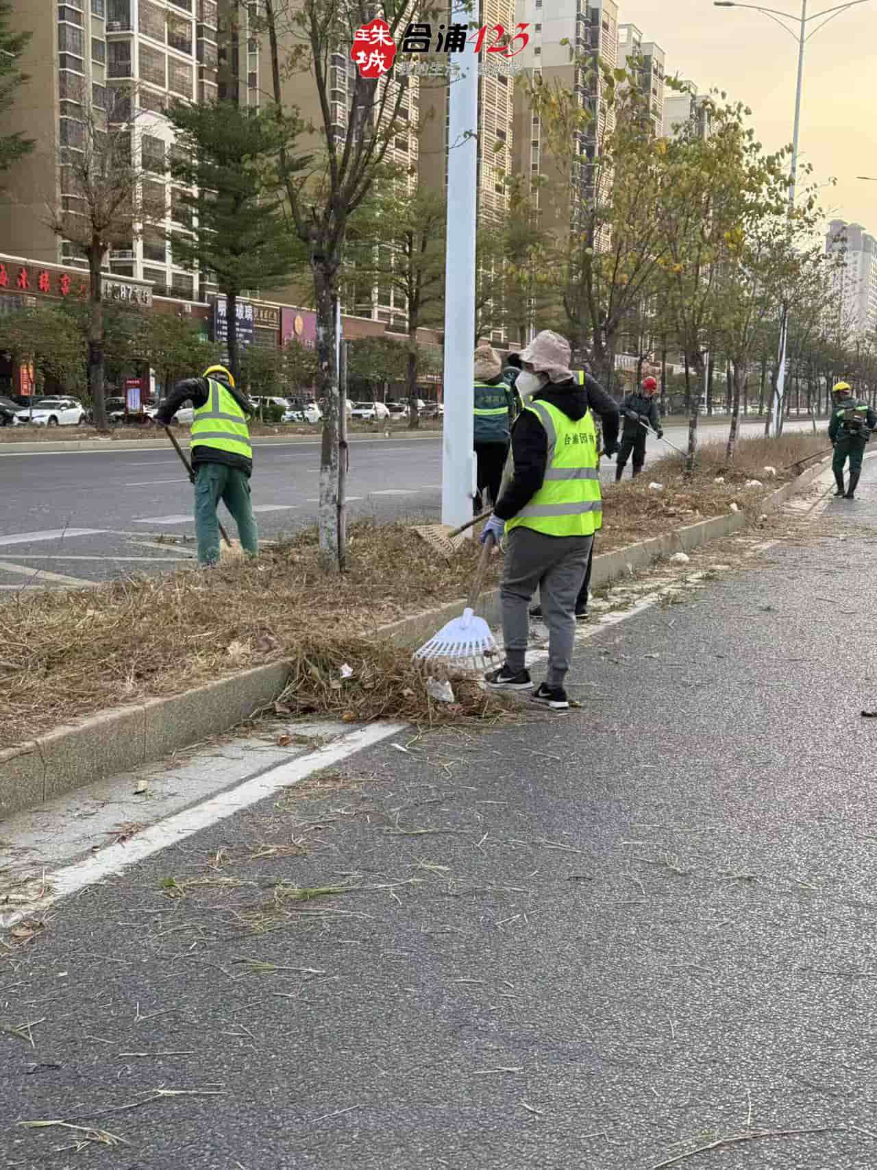 WechatIMG383.jpg